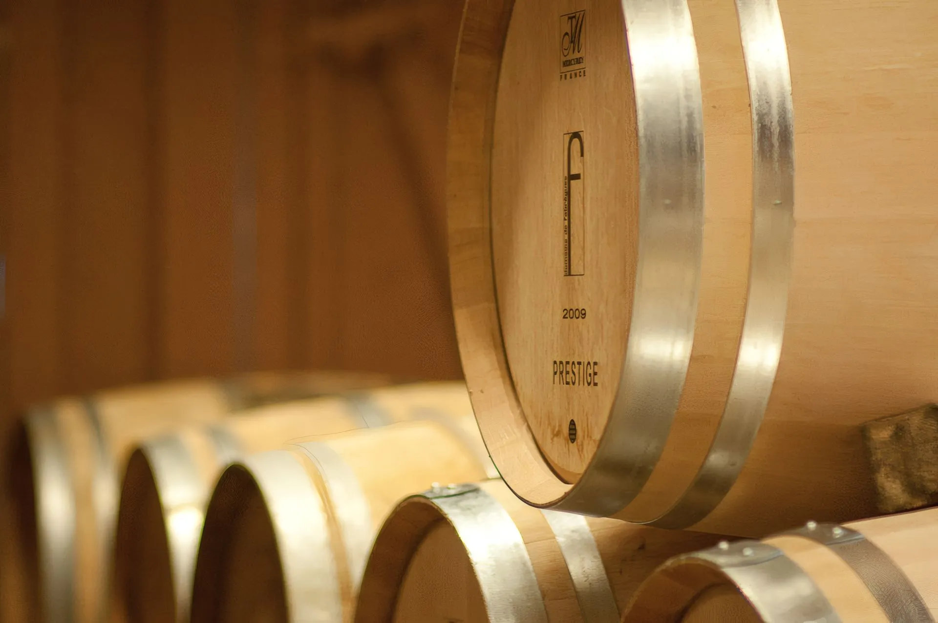 Vignes du Domaine de Fabrègues